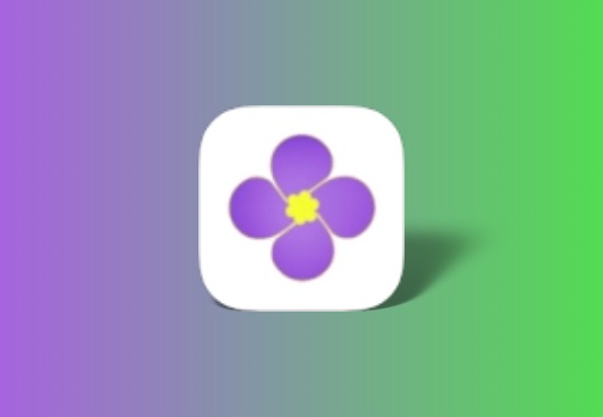 紫金草影视app 竖屏影视 加载快 画质高 超清流畅黑科技-影视-软件-资源-下载-音乐软件-技术资源轩歌资源站